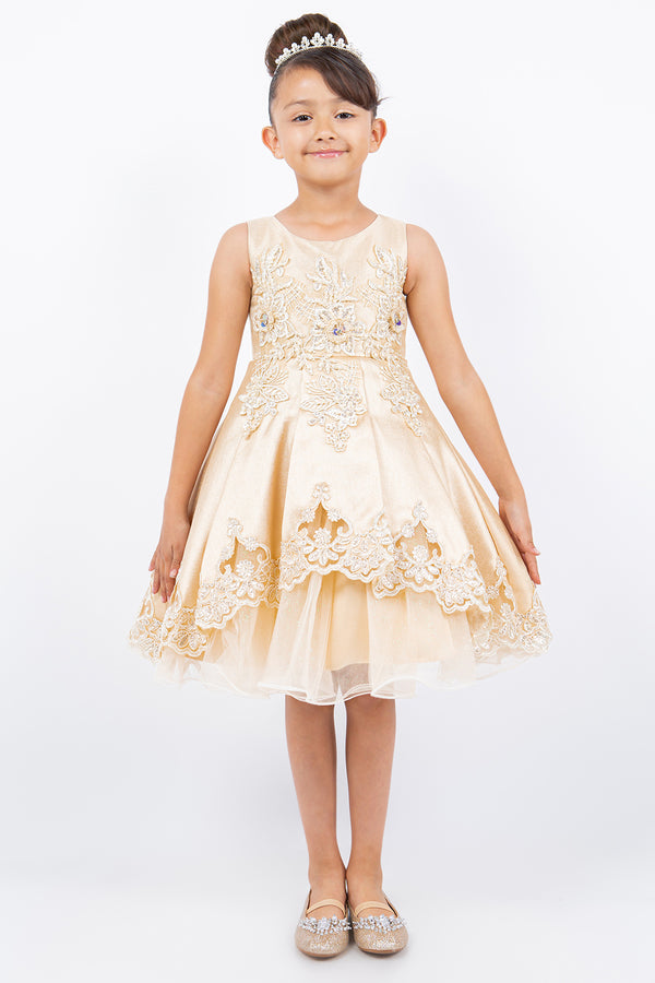 Girls Floral Embroidery Cutout Overlay Flower Girl Dress 2-16